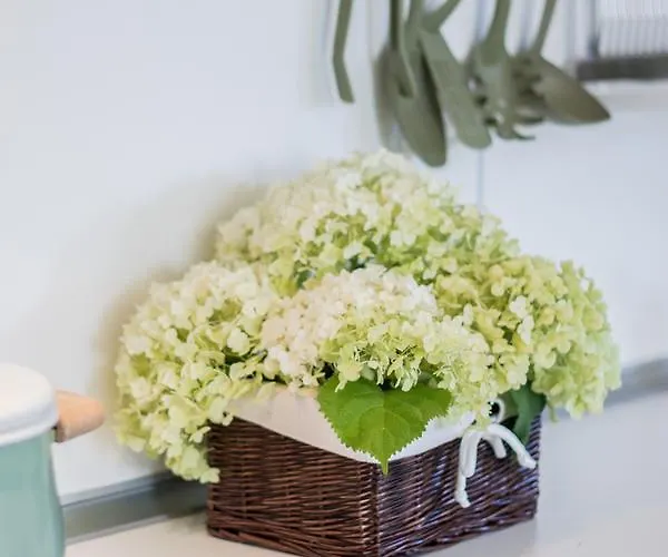 Elmenykoezpont Веленце